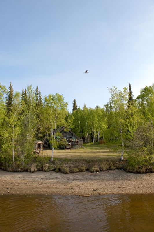Clearing Overgrown Land