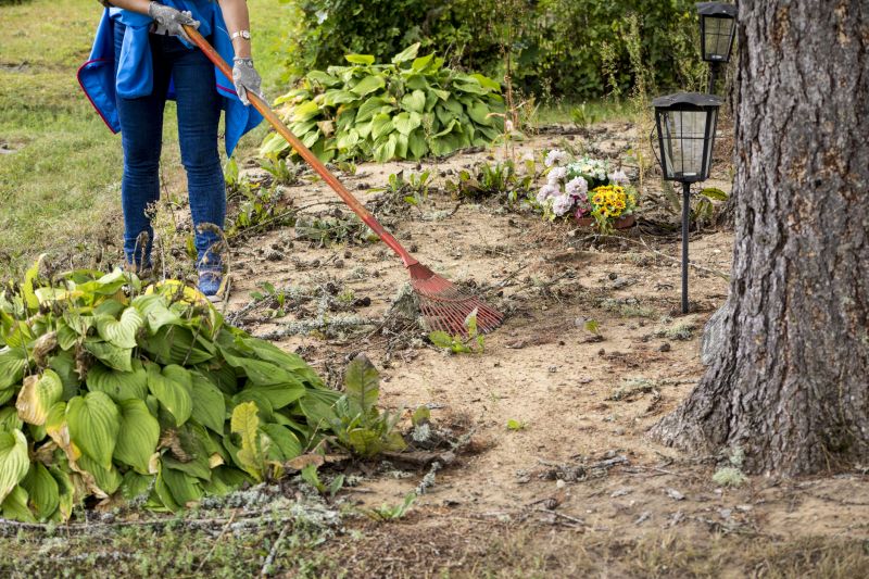 Vegetation and Debris Removal