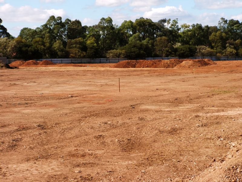 What’s Involved In Professional Land Clearing?