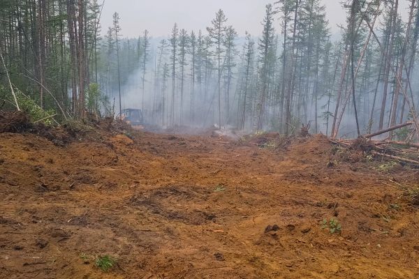 Cost of Hill Clearing in Folsom